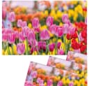 matches21 HOME & HOBBY Platzset 4er Set Sommer Tulpen Blumenwiese Bild 2