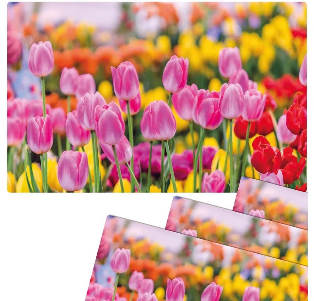 matches21 HOME & HOBBY Platzset 4er Set Sommer Tulpen Blumenwiese - Bild 2