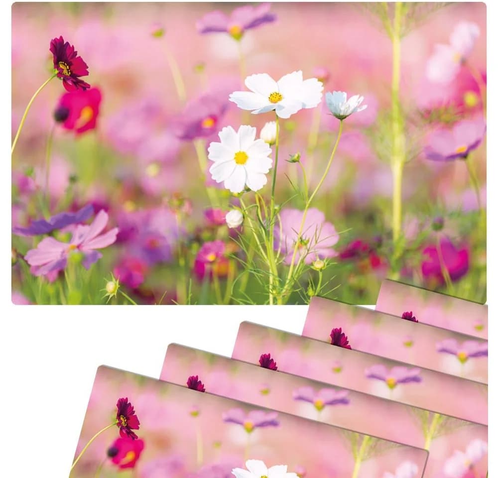 matches21 HOME & HOBBY Platzset 6er Set Blumen-Wiese Pink-Weiß - Bild 2