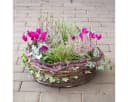 matches21 HOME & HOBBY Pflanz-Ringe Grau Rund Bild 5
