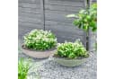 matches21 HOME & HOBBY Blumentopf Flache Pflanzschalen für Draußen Bild 5