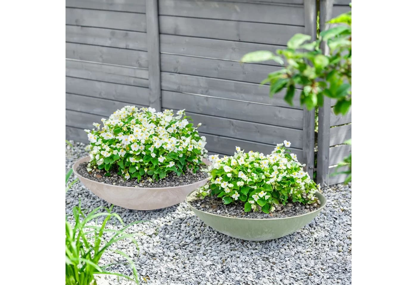 matches21 HOME & HOBBY Blumentopf Flache Pflanzschalen für Draußen - Bild 5
