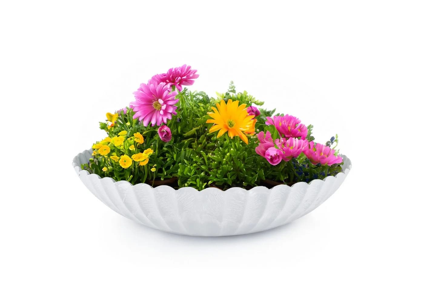 matches21 HOME & HOBBY Pflanzschale Grau Wellendesign Wetterfest - Bild 2