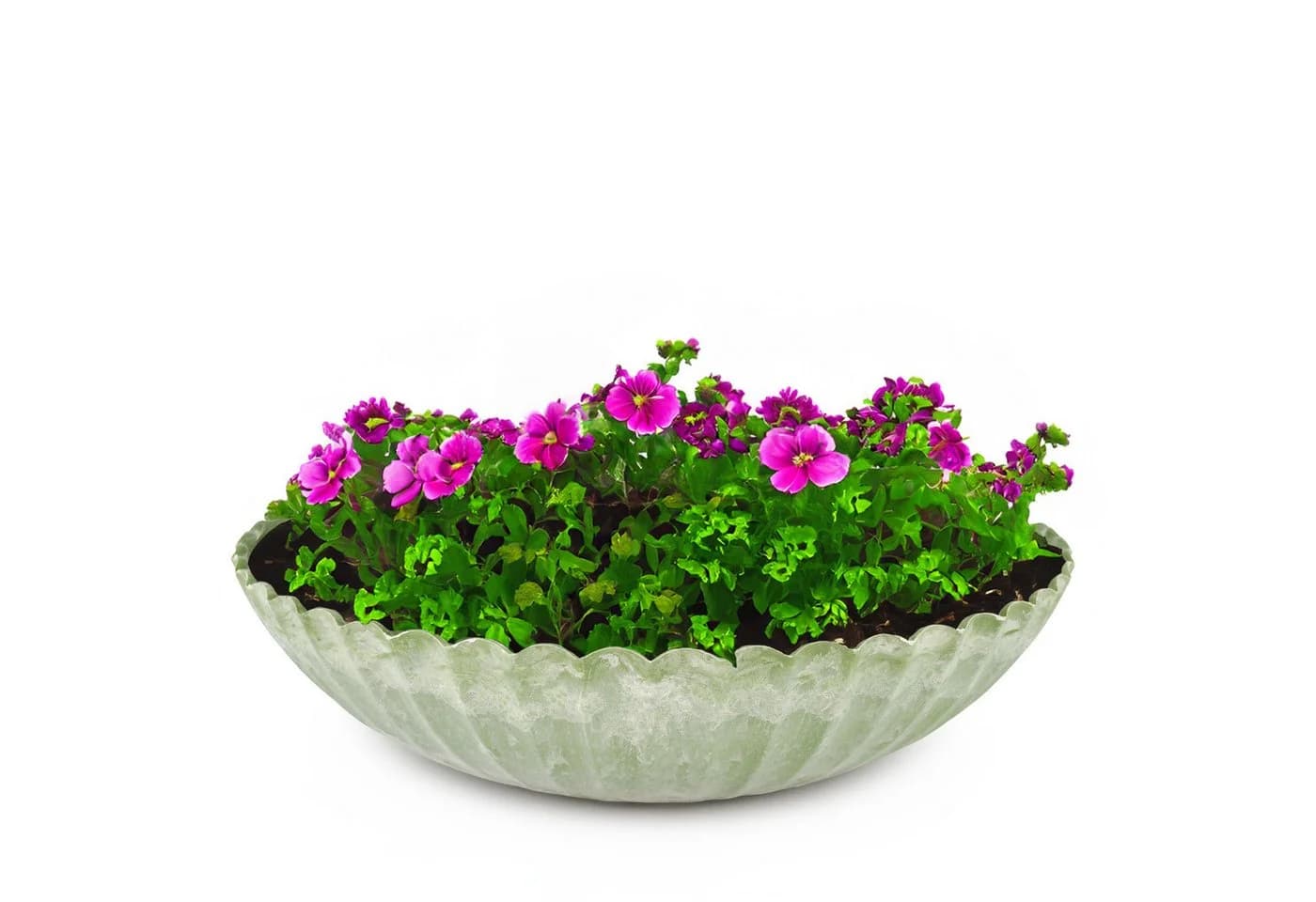 matches21 HOME & HOBBY Blumentopf Runde Pflanz-Schale Gewellt Grün Marmoriert 22 cm - Bild 2