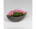 matches21 HOME & HOBBY Blumentopf Oval Schwarz 39 cm Bild 4