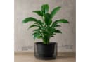 matches21 HOME & HOBBY NIVO Blumentopf rund 47x30 cm Anthrazit HDPE Bild 3