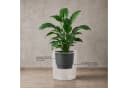 matches21 HOME & HOBBY Blumentopf NIVO rund 47x45 cm weiß Bild 3