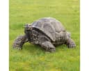 Oriental Galerie Dekofigur Schildkröte Gartenfigur aus GRC Grau Bild 1