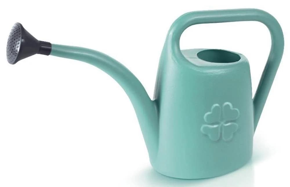 PROREGAL® Gießkanne 5 Liter Kunststoff Salbei