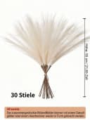Fanci Home Kunstblume Künstliches Pampasgras 30 Stück Set Beige/Gelb Boho Deko Bild 5