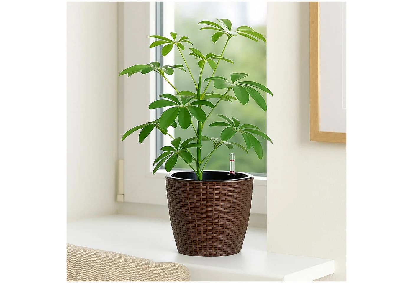 HTI-Living Blumentopf Nessa Hydro 21,5 cm Braun