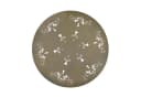 HTI-Living Gartentisch Lily Metalltisch Nostalgisch Ø 70 cm Bild 4