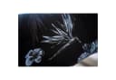 HTI-Living Klappstuhl Dima Blume 2er-Set Campingstuhl mit Motivdruck Bild 5