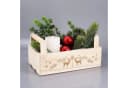 none Bild 4