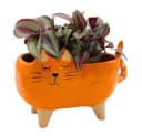 Dekohelden24 Übertopf Keramik Katzenmotiv Rosa Orange Bild 3