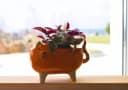 Dekohelden24 Übertopf Keramik Katzenmotiv Rosa Orange Bild 4
