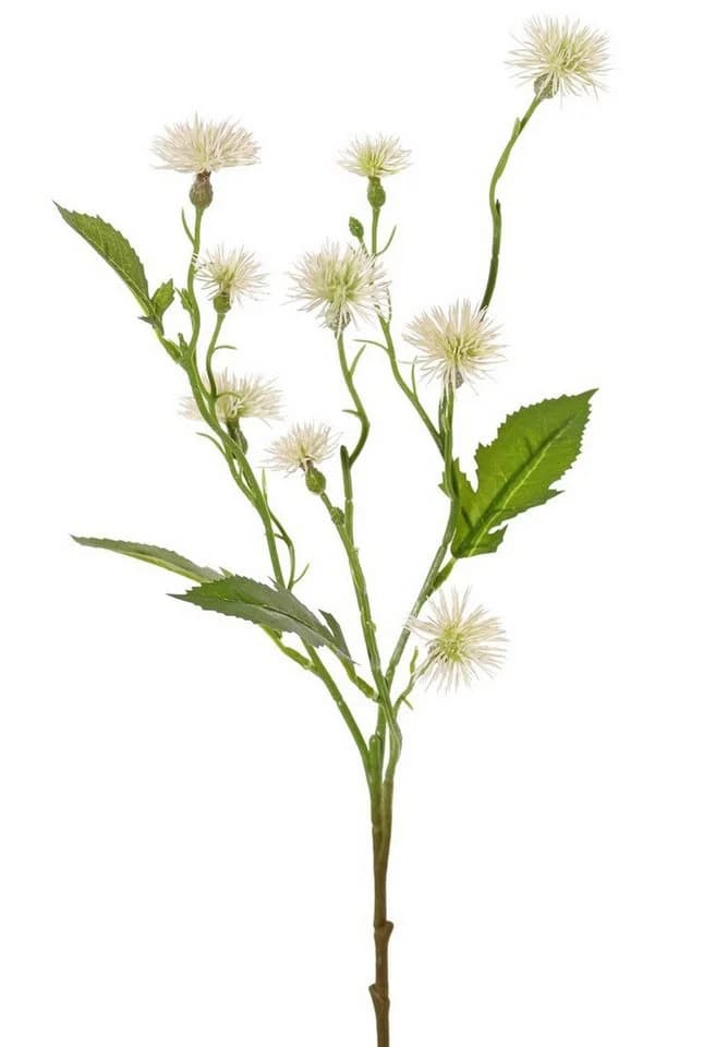 artplants Kunstzweig Wiesen-Flockenblume Weiß 55cm