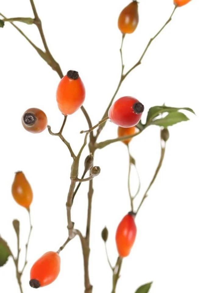 artplants Künstlicher Heckenrosen Zweig ZERBST mit Hagebutten orange-rot