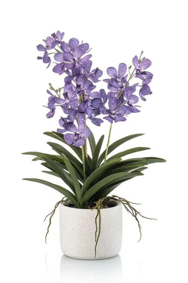 artplants Kunstorchidee Vanda violett-weiß mit Keramiktopf