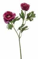 Kunstzweig Ranunkel Florance Dunkelviolett Kunstpflanze 45 cm Bild 2