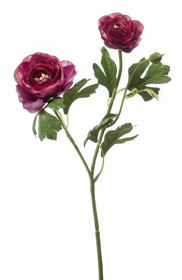 Kunstzweig Ranunkel Florance Dunkelviolett Kunstpflanze 45 cm - Bild 2