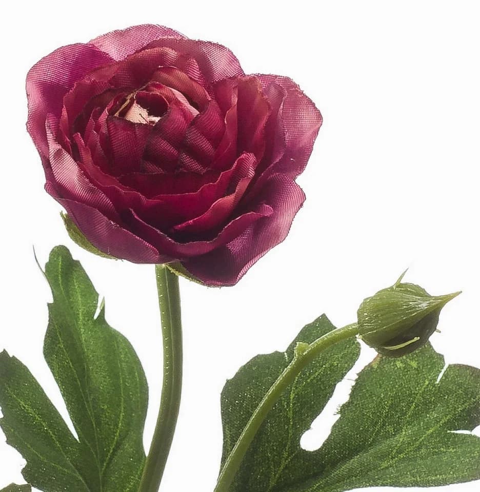 Kunstzweig Ranunkel Florance Dunkelviolett Kunstpflanze 45 cm - Bild 3