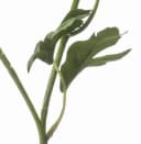 Kunstzweig Ranunkel Florance Dunkelviolett Kunstpflanze 45 cm Bild 4