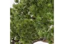 artplants Kunstbonsai Kanya 45cm Pinie in Pflanzschale Bild 1