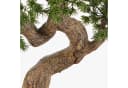 artplants Kunstbonsai Kanya 45cm Pinie in Pflanzschale Bild 3
