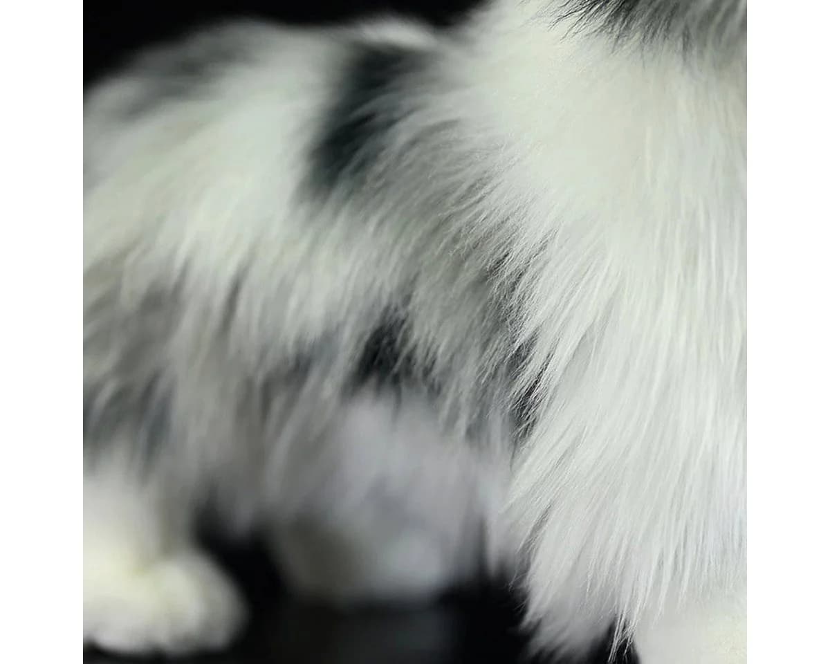 Tinisu Border Collie Kuscheltier 29 cm Plüschtier - Bild 5