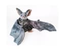 Tinisu Plüschfigur Fledermaus Kuscheltier 30 cm Halloween Bild 3