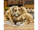 Tinisu Plüschfigur Tiger, Löwe & Leopard - Weiches Kuscheltier Bild 1