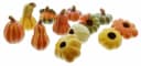 Home-trends24.de Terracotta Kürbis Dekofigur 12er Set Orange Bild 4