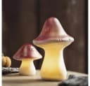 Home-trends24.de LED-Dekofigur Pilz 2er Set Bild 1