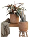 Home-trends24.de Pflanzkorb 2er Set Seegras Natur Boho Stil Bild 2