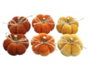 Home-trends24.de Dekofigur Kürbis samtweich Herbst Tisch Deko 6er Set Bild 3