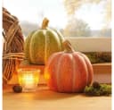 Home-trends24.de Dekofigur Kürbis orange grün 2er-Set Herbst Deko Bild 1