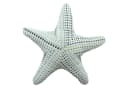 Home-trends24.de Dekokissen Seestern oder Seepferdchen Maritim Beige/Blau Bild 4
