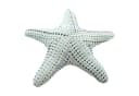 Home-trends24.de Dekokissen Seestern oder Seepferdchen Maritim Beige/Blau Bild 5