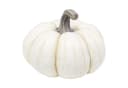 Dekofigur Kürbis Weiß 29 cm Herbstdeko Halloween Tischdeko Bild 4