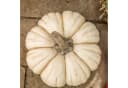 Dekofigur Kürbis Weiß 29 cm Herbstdeko Halloween Tischdeko Bild 5