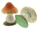 Dekofigur Steinpilz 2er-Set Herbst Deko Beige Orange Bild 3