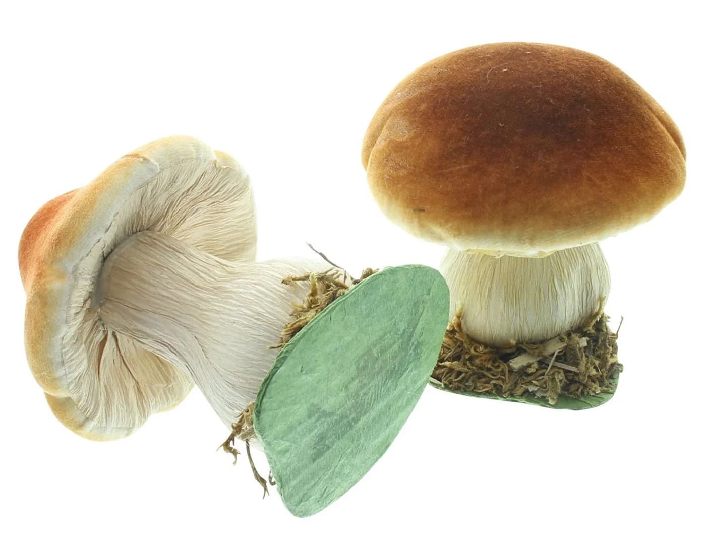 Dekofigur Steinpilz 2er-Set Herbst Deko Beige Orange - Bild 4