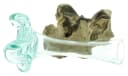 Home-trends24.de Dekovase Wurzelholz Vase 6 cm Bild 4