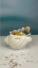 TIZIANO Capella Muschelschale Creme-Weiß Design Dekofigur Bild 5