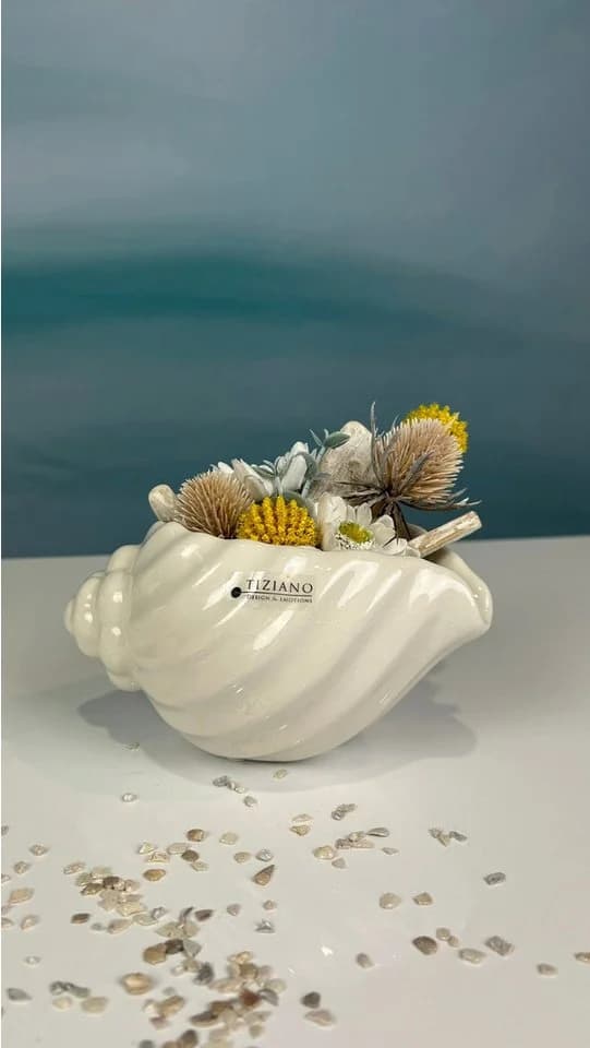 TIZIANO Capella Muschelschale Creme-Weiß Design Dekofigur - Bild 5