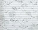 HOMBERA Plissee Blumen-Motiv Klemmfix ohne Bohren halbtransparent Bild 5