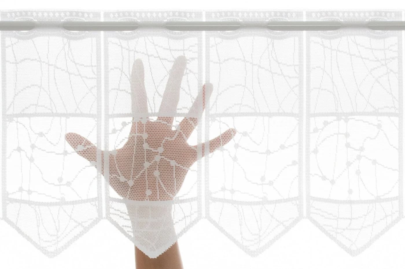 Gardinen Kranzusch Scheibengardine Jacquard mit verschlungenen Linien, Stangendurchzug, transparent, Stablöcher - Bild 4