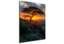 DARO Abstraktes Wandbild Afrikanischer Baum Leinwand Bild 2