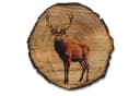 DARO Design Rundbild Hirsch Baumrindenscheibe Braun Bild 2